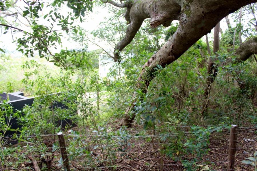 4 Bedroom Property for Sale in Bathurst Eastern Cape